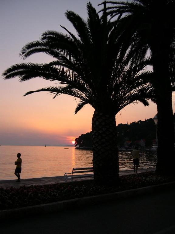 Villa Radovic Cavtat Kültér fotó